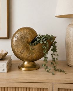 Vintage Heavy Brass Nautilus Shell Planter Pedestal