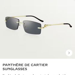 Cartier Glasses 