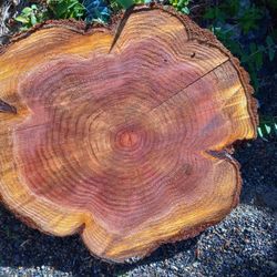 Redwood Wood Table Tops !!2.5 X 3 Ft 