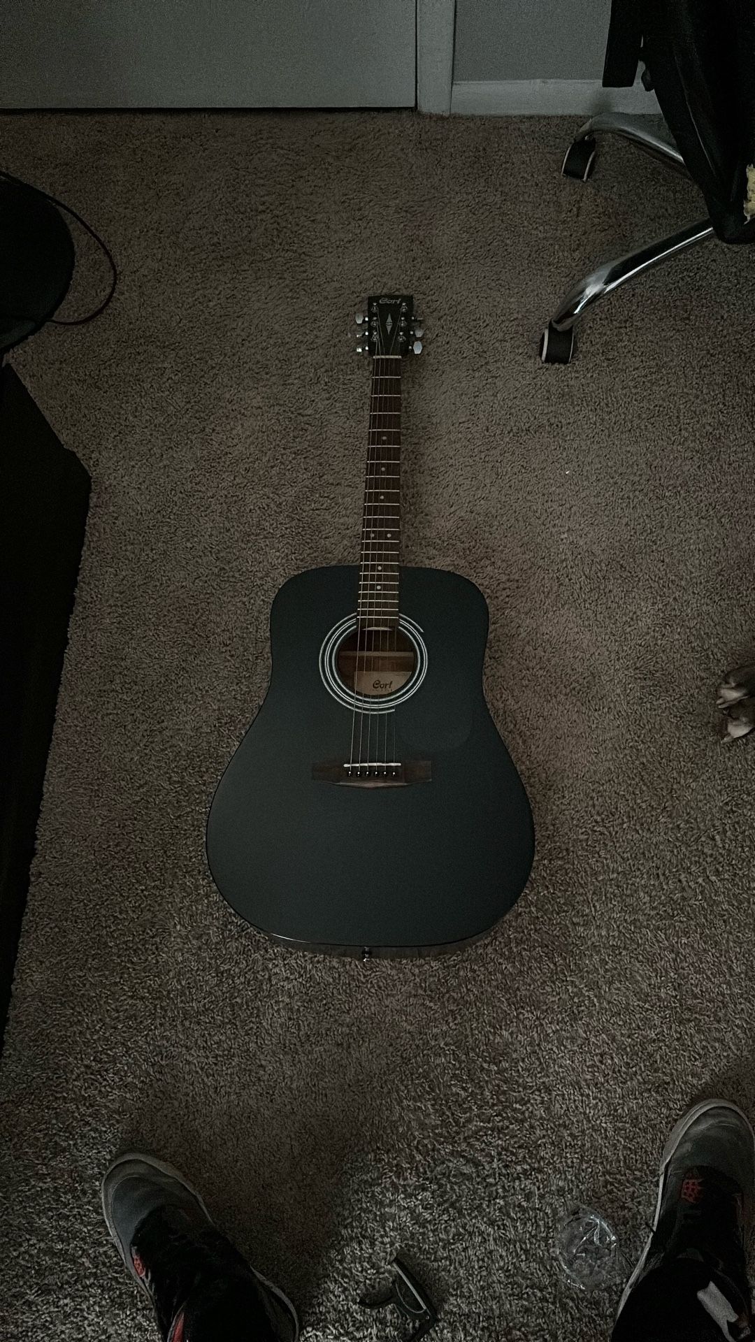 Guitar