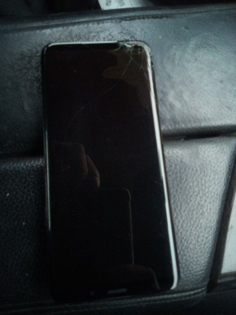 Galaxy S9 plus Need The Screen Only Nothing Out $45