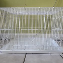White Bird Cage 