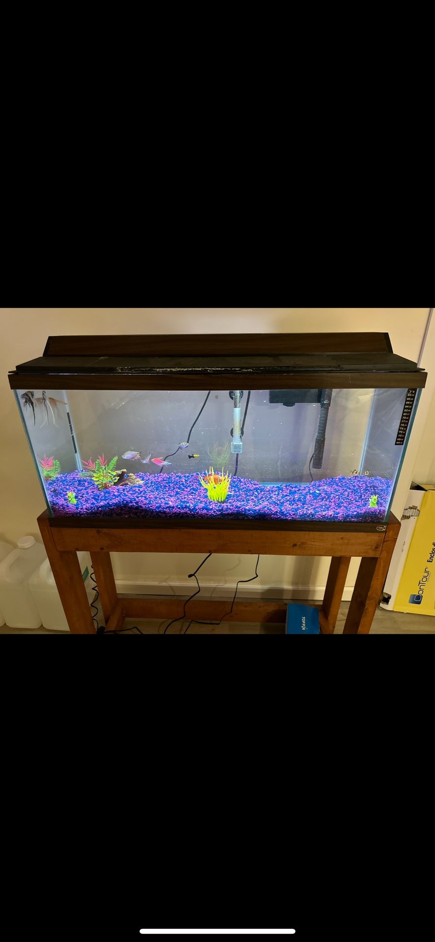 Fish Tank With Stand