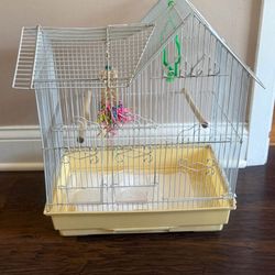 Bird Cage