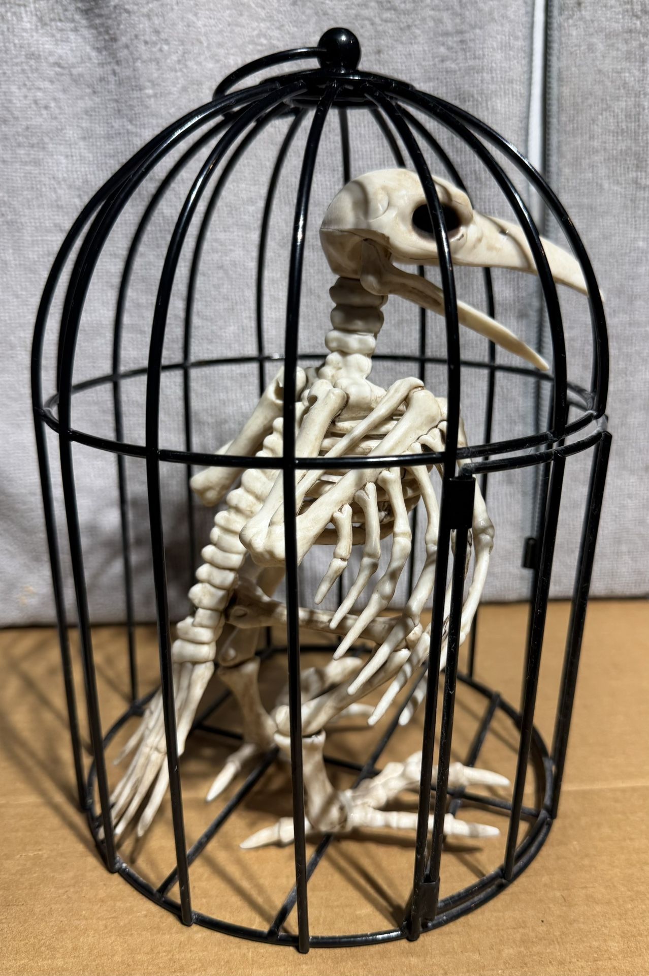 Bird Skeleton in Cage Halloween Decoration