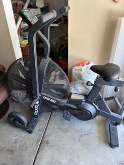 Rogue Echo Bike Air Bike