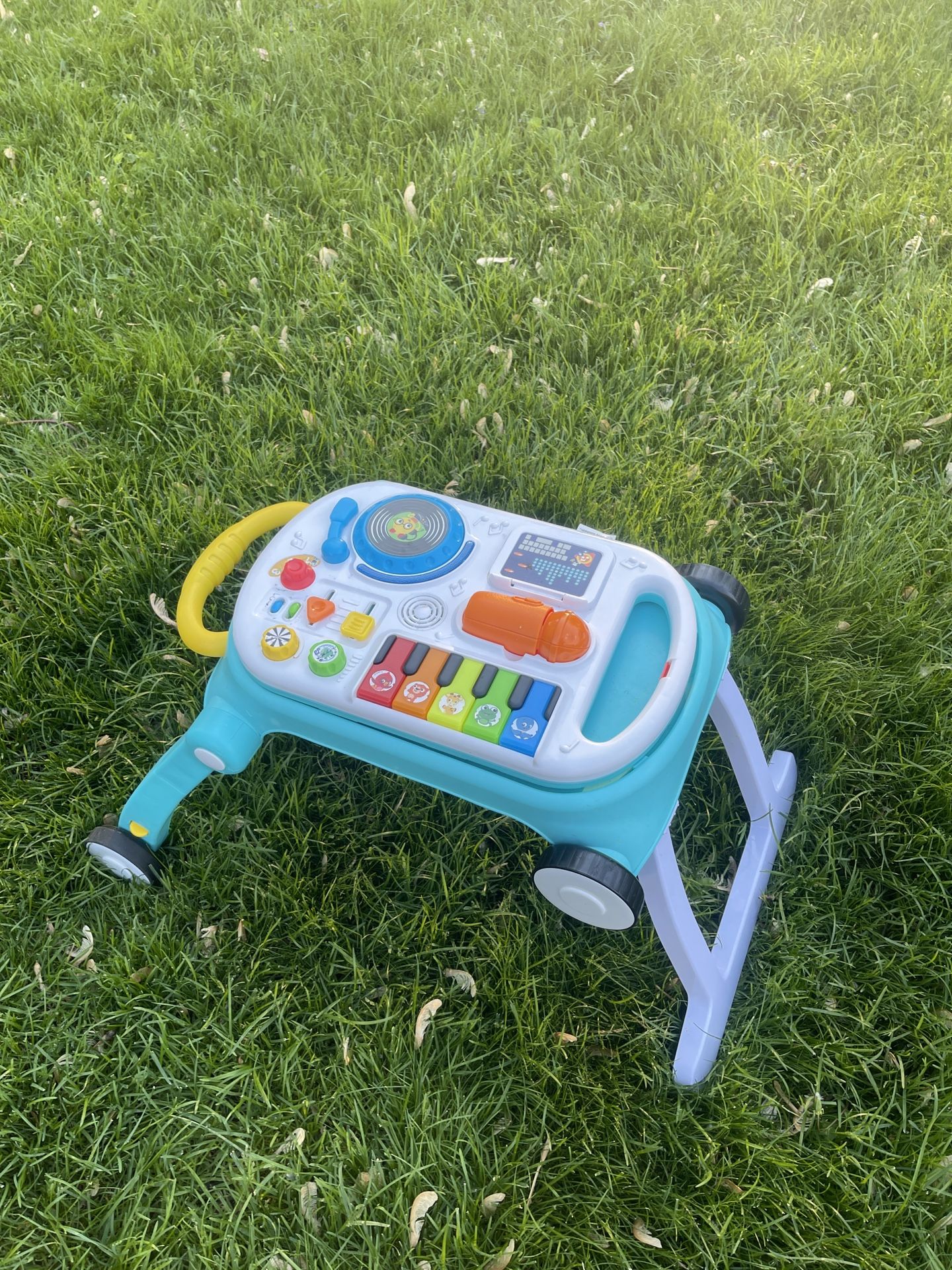 Baby Activity Walker