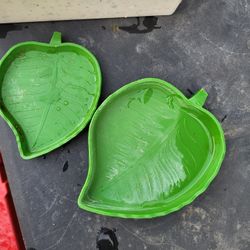 Tortoise/ Turtle Supplies