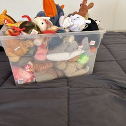 New Beanie Babies 