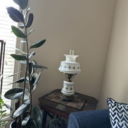 Beautiful  plant