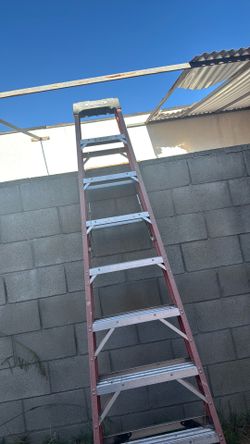 8ft latter