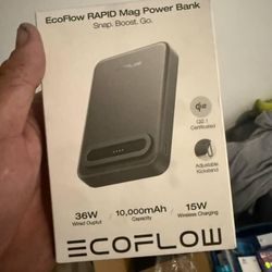 Ecoflow Power Bank 