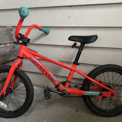 Cannondale Kids Bike - $50