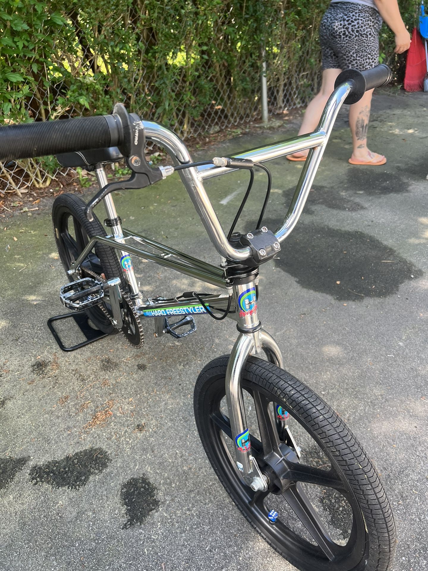 2009 Haro Master