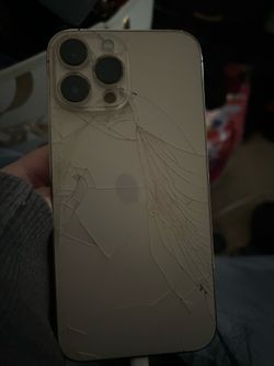 iPhone 13 Pro Max