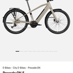 E Bike Size Large