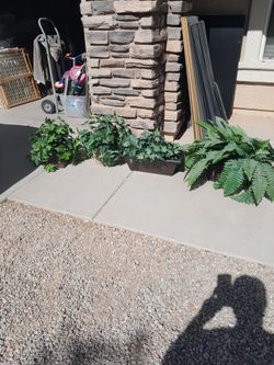 4 different Artificial Plants $8-$12 each See All Photos