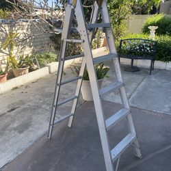Folding ladder