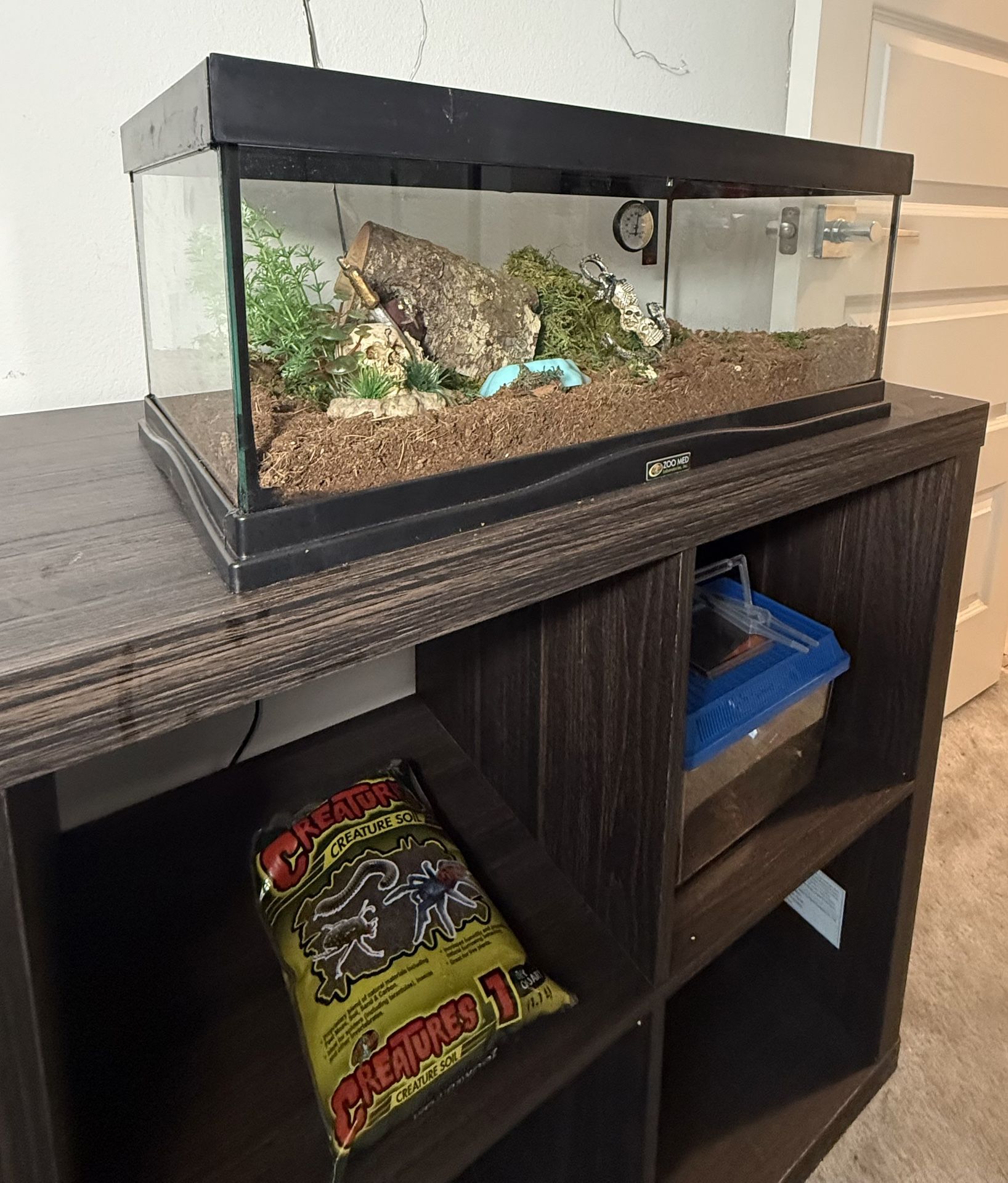 Reptile Terrarium Bundle