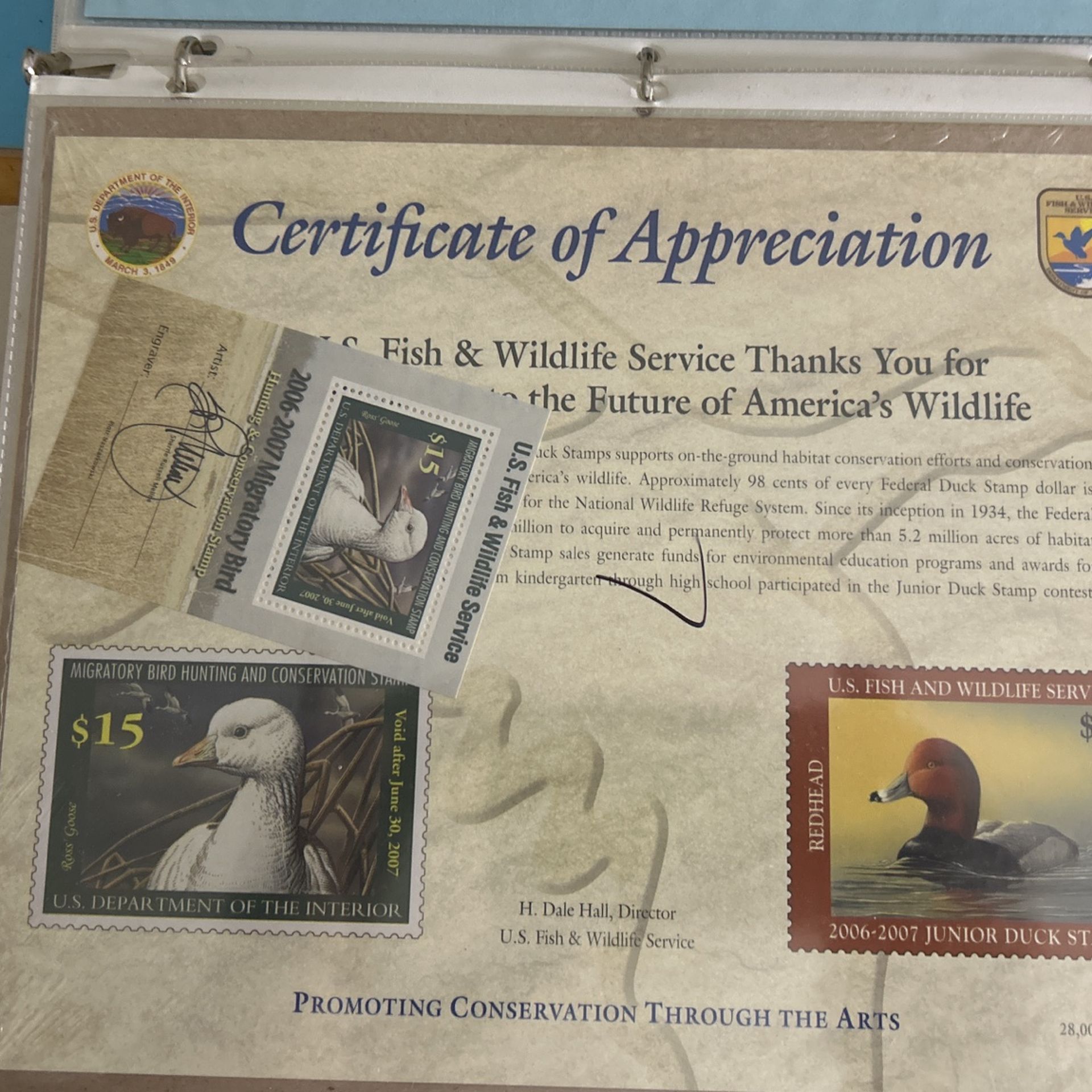 #RW73B 2006 - US Federal Duck Stamp - LotP - Mint OG NH - POST OFFICE SEALED