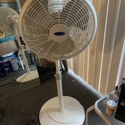 Floor Fan 