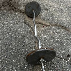 Curl Bar Pair Of 25lbs Weights Plates 