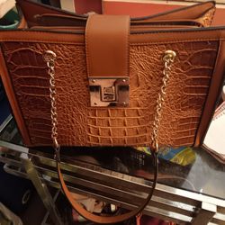 Dilophy Brown Purse