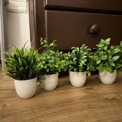 4 Artificial Small Plants  