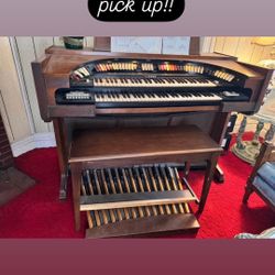 Free Organ 