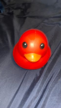 Sunny days red squshie duck