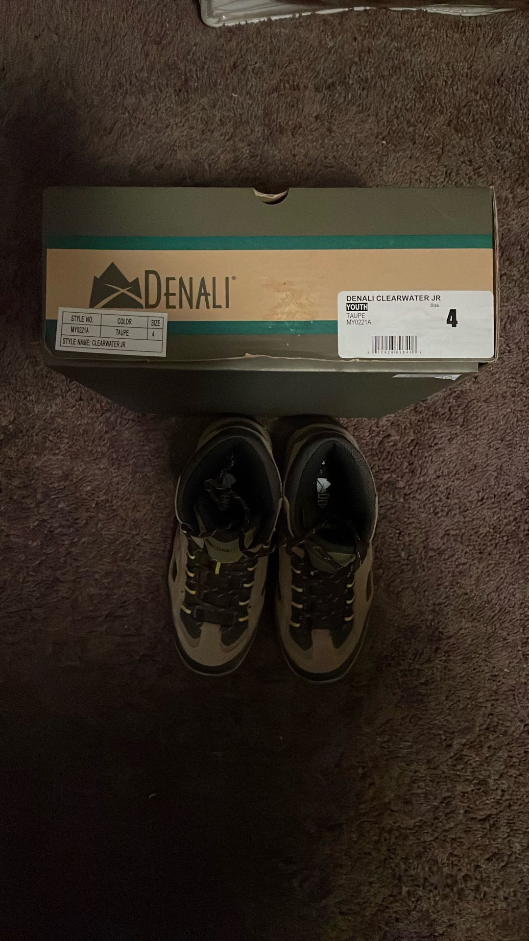 Hiking Boots