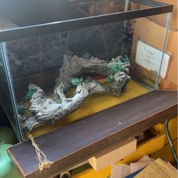 Reptile Aquarium