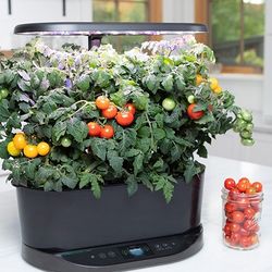 Smart AeroGarden Bounty Wi-Fi Capable