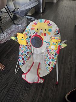Baby Bouncer