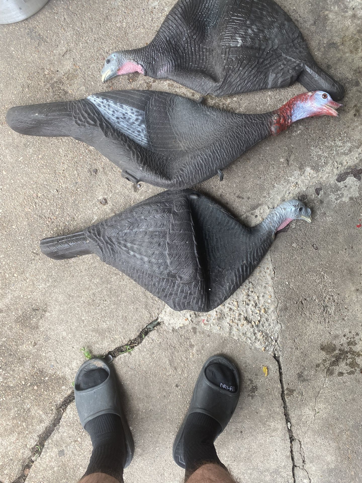 3 Turkey Decoys I Have Standing Legs Too