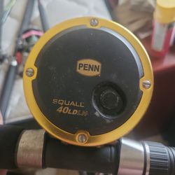 Penn 40LDLH reel On 7 Foot Penn Power Stick 
