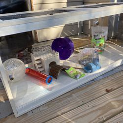 Large Hamster Set Up