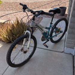 Diamondback Tess 24