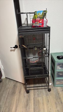 Bird cage