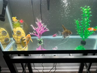 Fish Tank And Stand For Sale