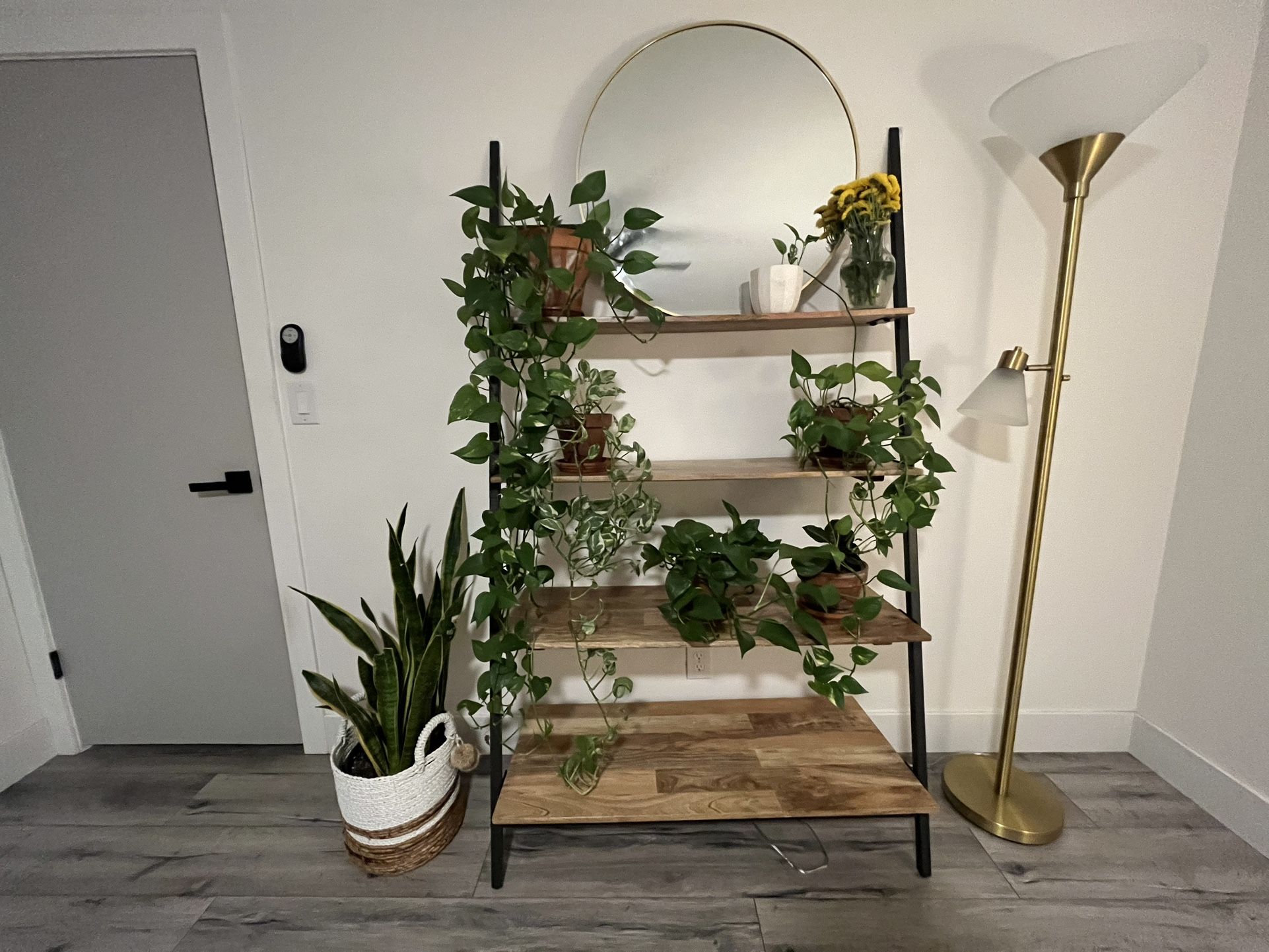 Leaning Ladder Shelf 