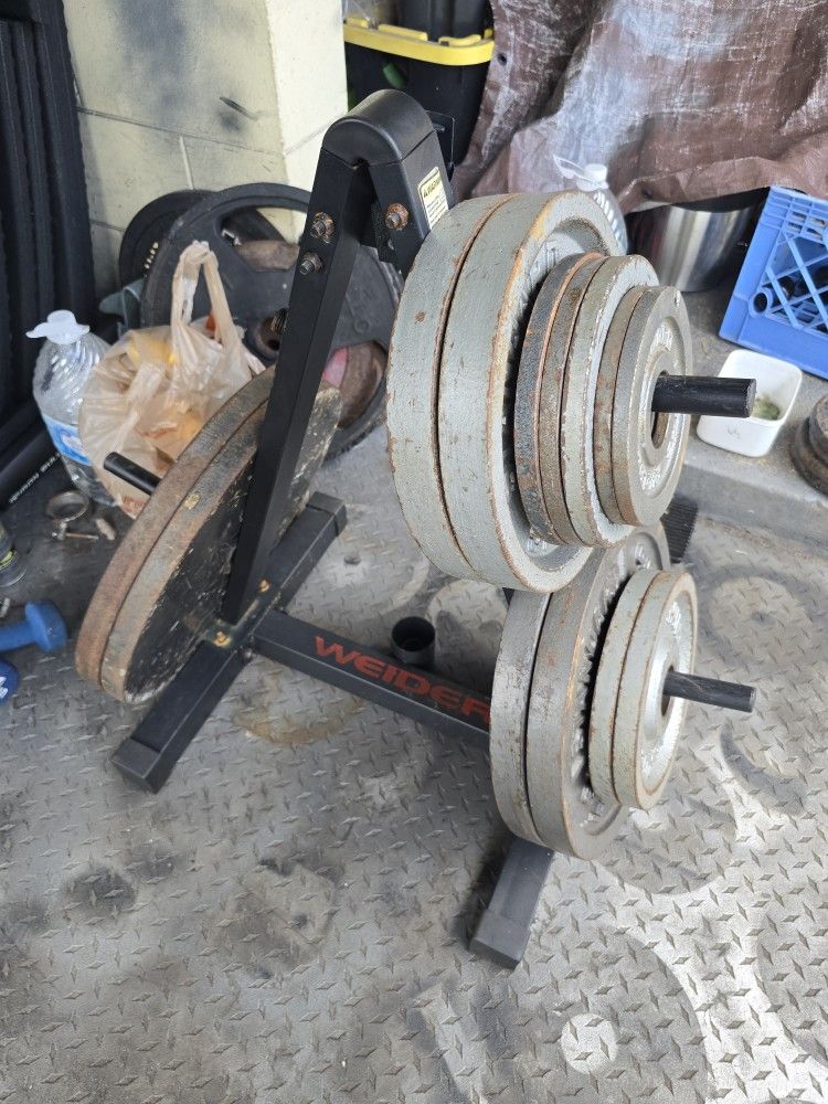 Weight Olympic Plates