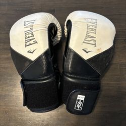 Everlast Boxing Gloves 