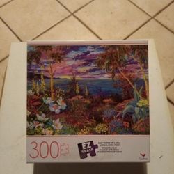 Ez Grasp 300 Piece Puzzle 