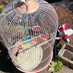 Bird cage w/ accessories