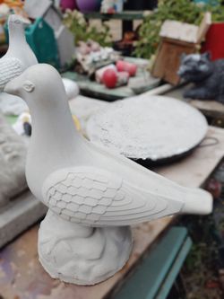Cement pigeon