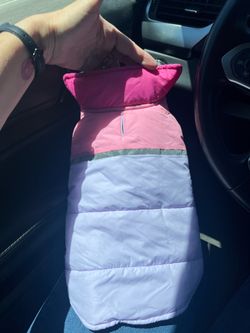 Dog jacket