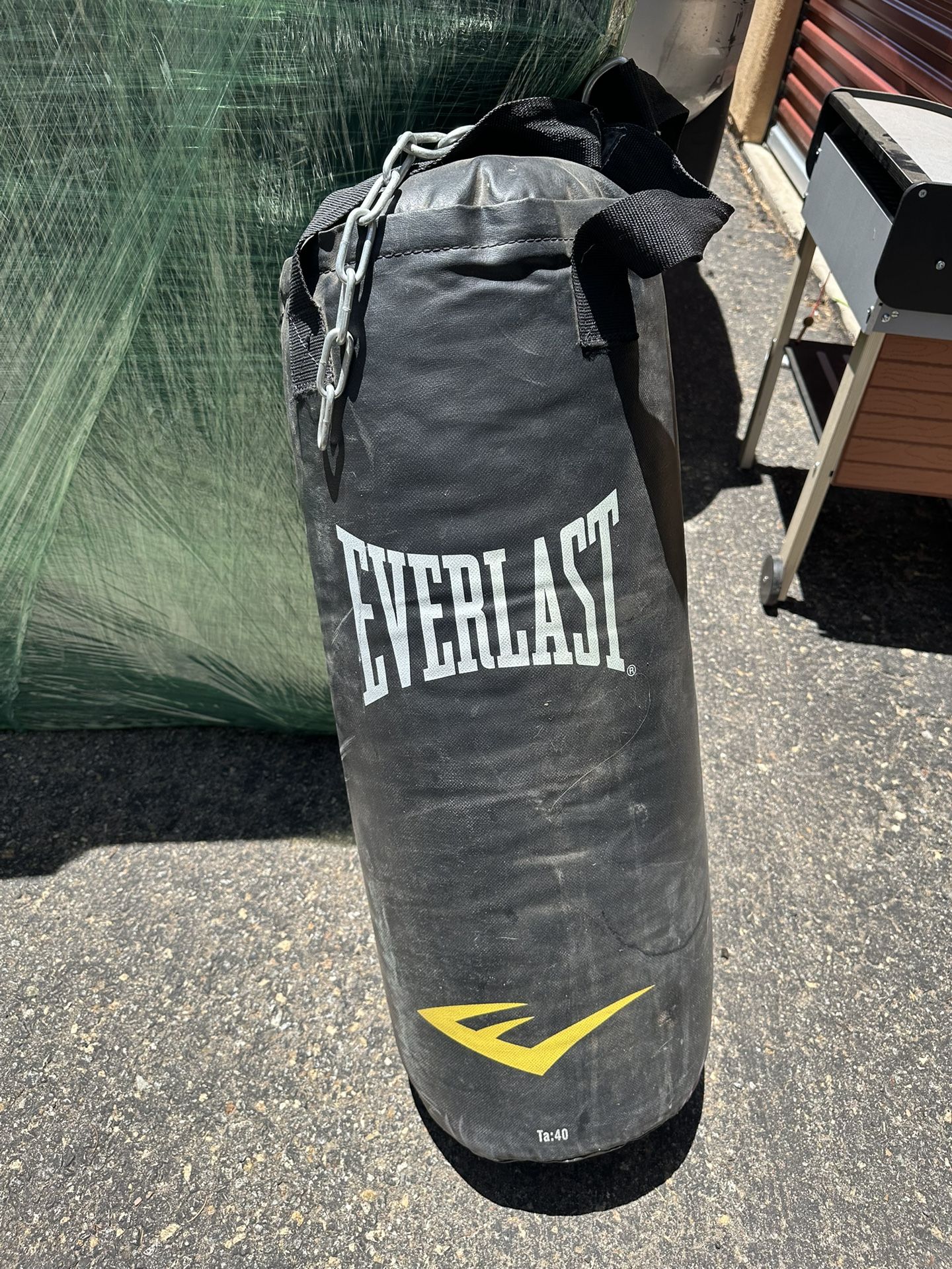 Everlast Punching Bag