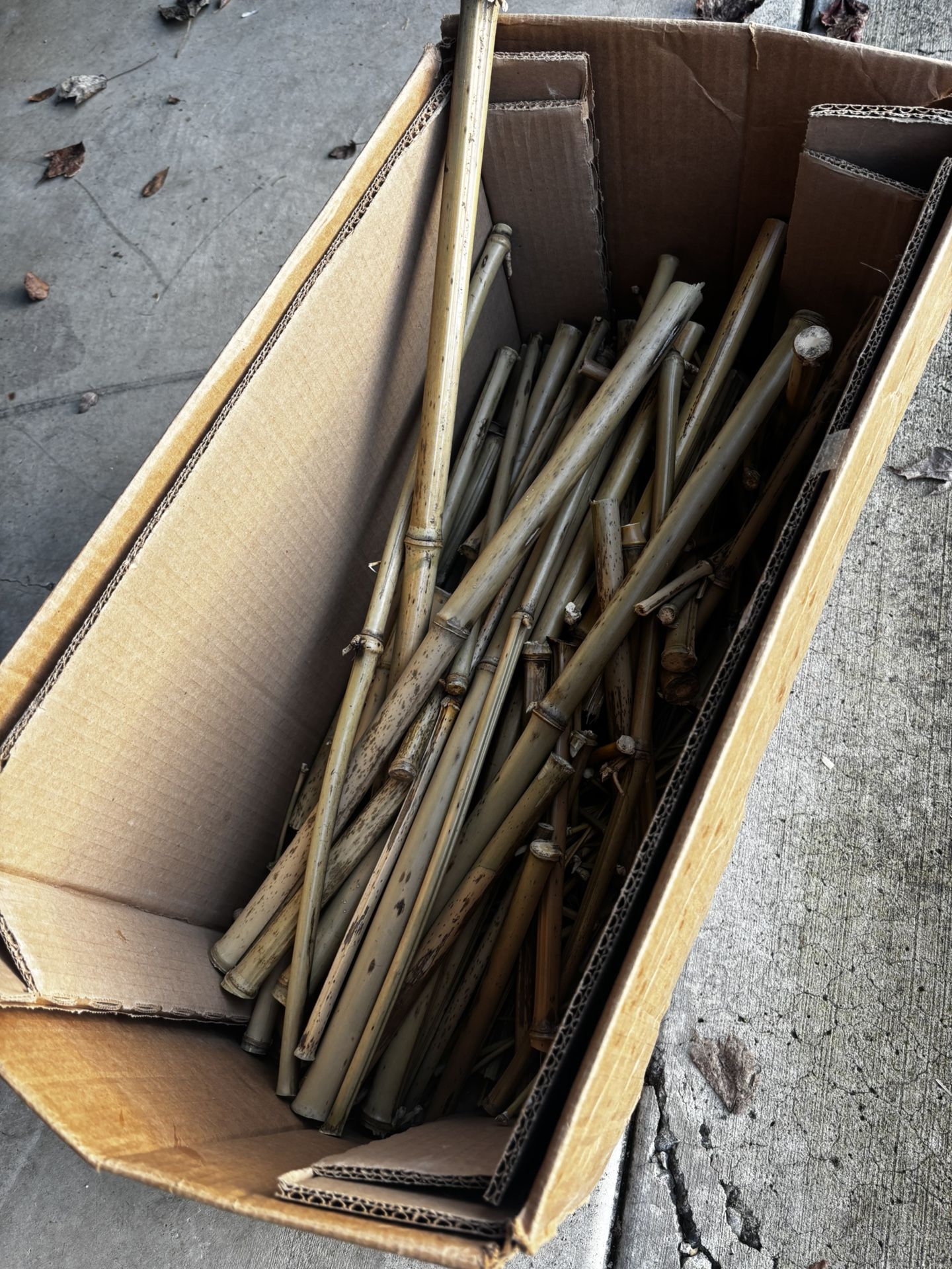 Cut And Heat Treated Bamboo