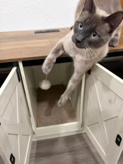 Classy Double Cat Box Enclosure, Cheap!